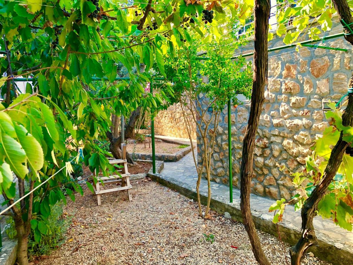 Villa Dinastija Kali Exterior photo